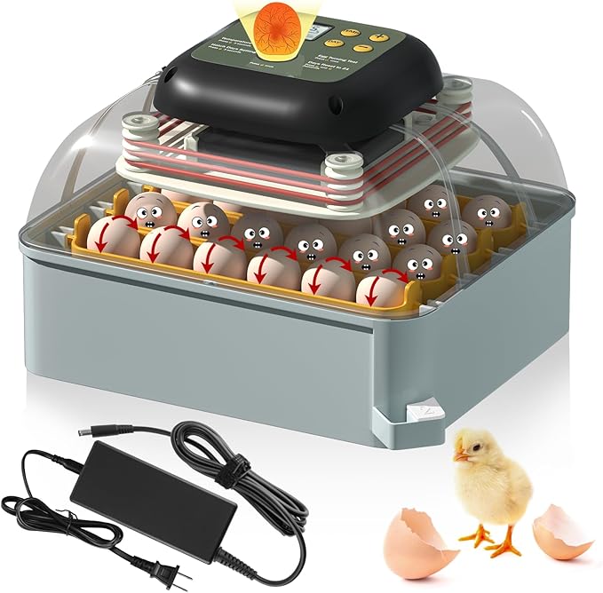 MIKIROY Chicken Egg Incubator with Automatic Egg Turning, Humidity Control, Temperature Control, and Egg Candler – Incubators for Hatching Chicken, Duck and Quail Eggs, Holds 24 Eggs (Gray)