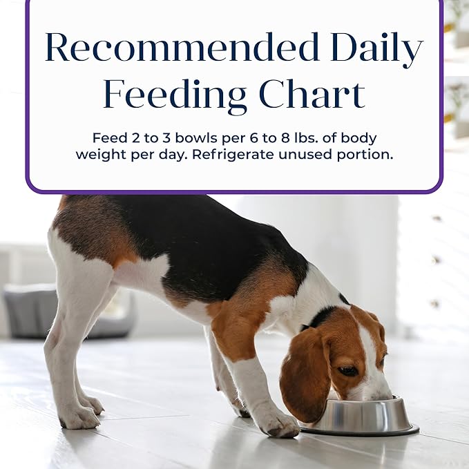 Blue Buffalo Basics Grain-Free Wet Dog Food for Small Breed Adult Dogs, Limited Ingredient Diet, Turkey Recipe, 3.5-oz Cups, 12 Count