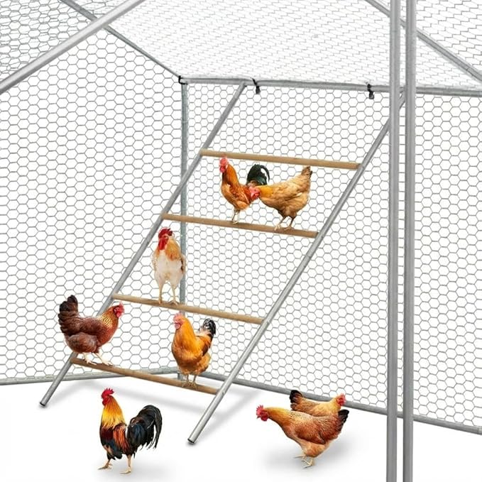 Chicken Roosting Bars, Chicken Perch for Coop,Backyard Poultry Farm, Chicken Coop Toys - Easy Installation & Cleaning (55'' L x 40'' W)