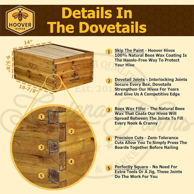 Hoover Hives Complete 8-Frame Beehive Kit – Wax-Coated Fir Wood, Includes 2 Deep Brood Boxes, 1 Medium Super, Langstroth Frames & CellTech Foundations – Durable, Weather-Resistant Beekeeping Supplies