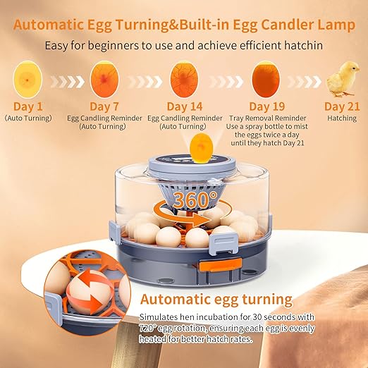 Incubator, Egg Incubator, Incubator for Hatching Eggs with Egg Candler, Automatic Egg Turner, Temperature& Humidity Control for Chicken, Duck, Quail,Goose, Carrying Handle Design,360° Viewing