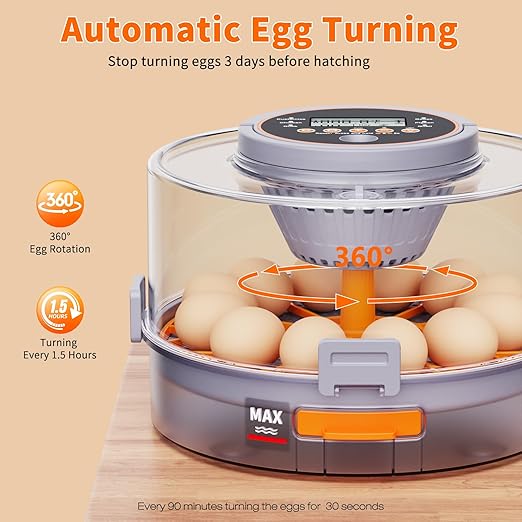 12 Egg Incubators for Hatching Eggs with Automatic Egg Turning & Humidity Control Intelligent Temp Eggs Candler for Chicken Quail Duck etc. Eggs, Suit for Beginner Backyard Hobbyist Students Education
