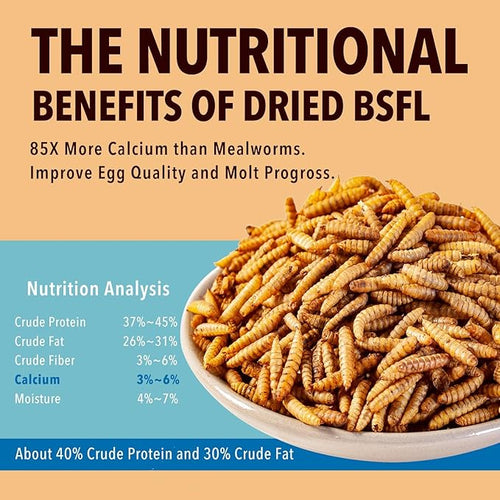 10lb Dried Black Soldier Fly Larvae Treat for Chickens More Calcium Than Mealworms,for Laying Hen,Wild Birds(10 Pound)