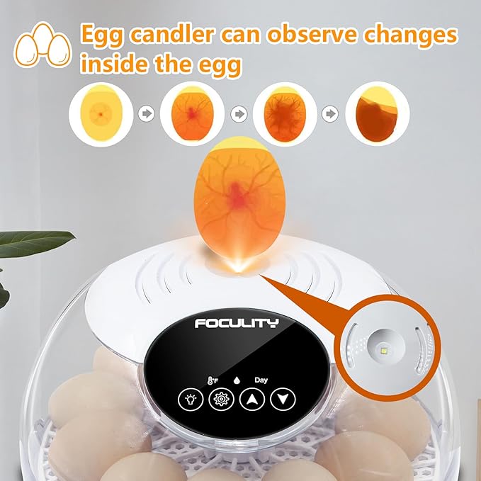 Egg Incubators for Hatching Eggs with Smart Automatic Turning Small Poultry Duck Quail 12 Eggs Chicken Incubator Temperature Days Control Humidity Display Candler Hatcher Machine, Fahrenheit