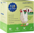 1LB Dried Black Soldier Fly Larvae, Non-GMO & Nutrient-Packed Chicken Feed, Strong Egg Production and Health, Rich in Calcium for Healthy Hens & Ducks, 80X Calcium vs Mealworms
