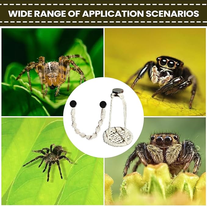 Jumping Spider Decor - 2 Pieces Natural Cotton Rope Handmade Pets Supplies, Jumping Spider Accessories for Walking Camping Travel Daily Airplane Outing Shopping, Urban Courtyard Farm, Interactive Pet