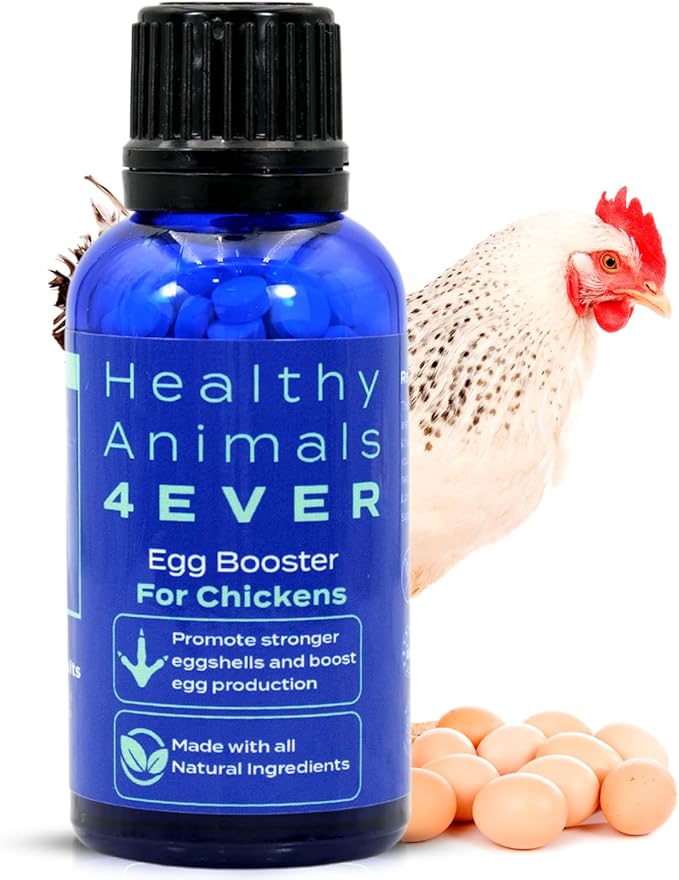 HealthyAnimals4Ever HA4E - Chicken Egg Booster Supplement - Supports Stronger Eggshells & Stress Relief - Highly Effective Homeopathic Formula - Natural Egg Strengthening Tablets - 300 Count