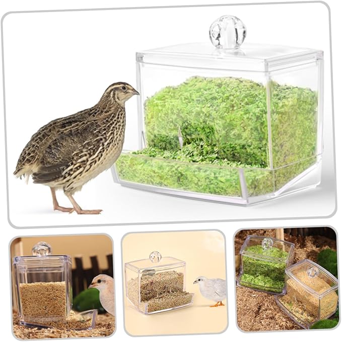 BESPORTBLE Automatic Bird Feeder No Waste Chicken Feeder No Mess for Chickens Birds