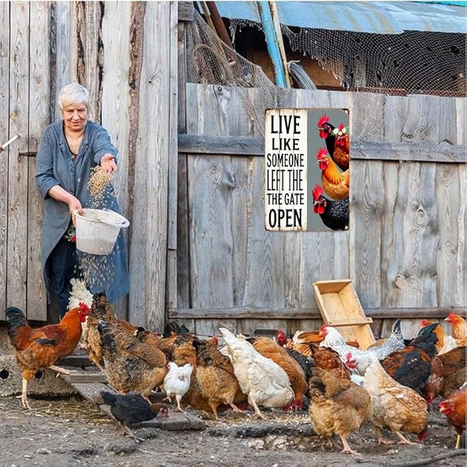 Chiken Gifts Vintage Chicken Decor Sign Live Like Someone Left The Gate Open Tin Sign for Home Chicken Coop Farm Fence Kitchen Bathroom Bedroom Wall Decor 12x16 Inches