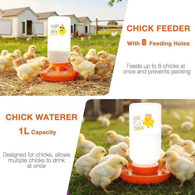 Chicken Feeder and Waterer Set,Automatic 1L Chick Feeder and Waterer with 2 Wooden Perch,Baby Chicks Supplies for Ducks,Quail,Small Poultry Coop Accessories