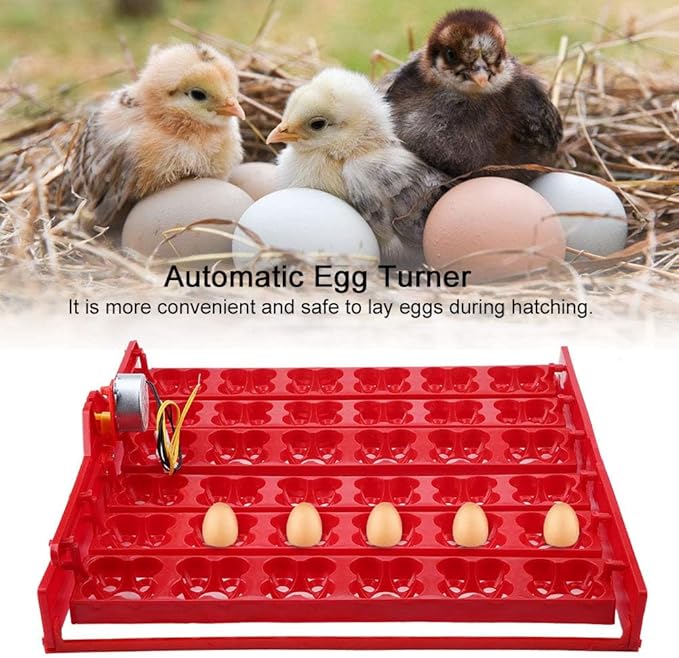 Automatic Egg Incubator Turner Tray, 36 Eggs/144 Bird Eggs Hatcher with Motor for Chickens, Ducks, Quail(110V)