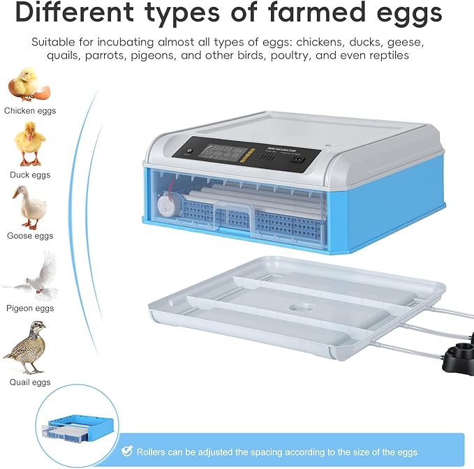 120 Eggs Smart Incubation Machine with Automatic Egg Turning&Temperature Control, Poultry Hatcher with 120-Egg Capacity&Humidity Regulation (Blue-1, 64)