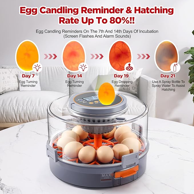 Chicken Egg Incubator 12-40 Eggs - Automatic 760° Egg Turner with Digital Display, Auto Temperature Humidity Control for Hatching Chicken Duck Quail Eggs, High Hatch Rate Poultry Incubator
