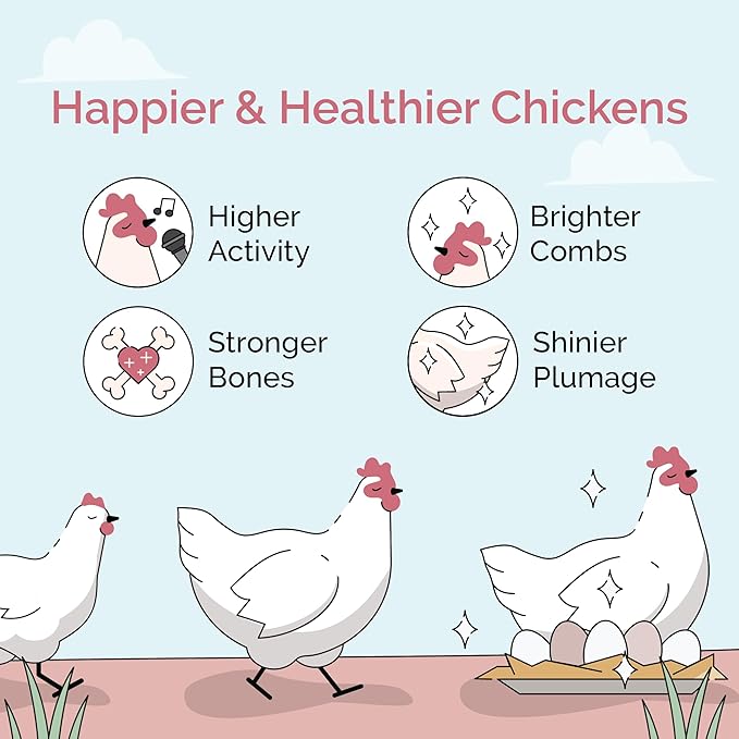 Mile Four Organic Chicken Feed (23 lbs) Layer Whole Grain, Non-GMO, USA Grown, 16% Protein, Corn-Free, Soy-Free, Non-Medicated Feed for Chickens
