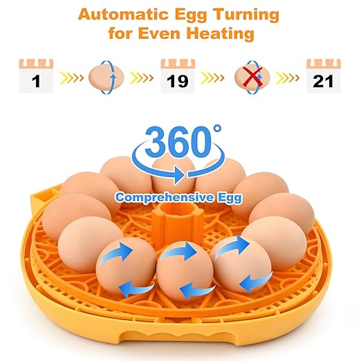 Egg Incubator for Hatching Chicks, Automatic Egg Turner Holds 12 Eggs, Smart Incubator 360° Clear Window with Temperature and Humidity Display Egg Candler for Small Poultry Ducks Quails Eggs