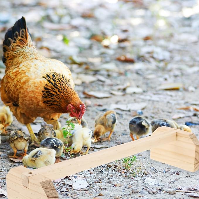 Wooden Parrot Stand 15.75 Inch Roosting Perch for Large Birds and Chickens Bird Cage Accessory for Parrots Conures and Baby Chicks Indoor Pet Play and Training Gym