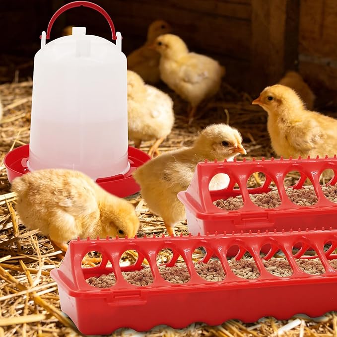 Chicken Feeder and Chicken Waterer Kit Set Automatic Chicken Hanging Poultry Waterer 3L kit-Flip Top Chick Feeder with 16 Feeding Hole