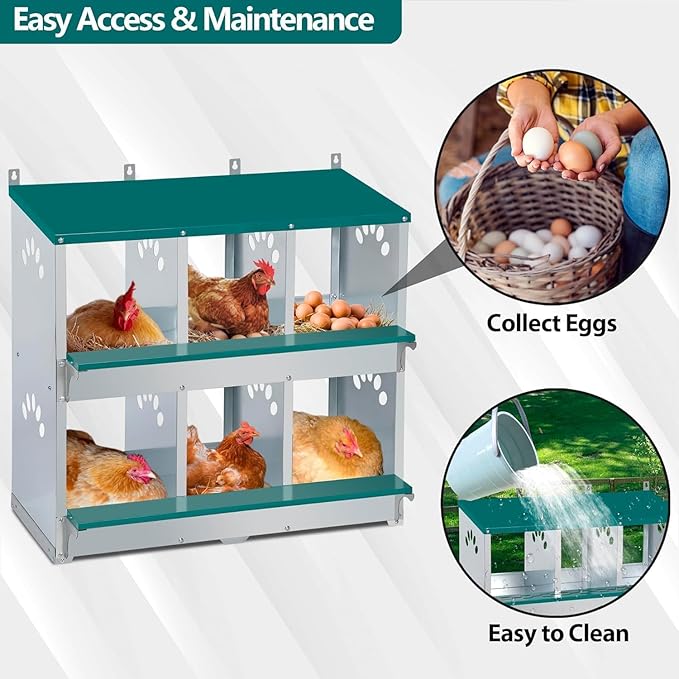 Rustproof Galvanized Steel Build - Chicken Nesting Box for Small Animals - 6 Compartments, Large Vented Holes, Easy Clean, Secure Egg Collection, Wall-Mounted - Green, 6 Compartments ZW