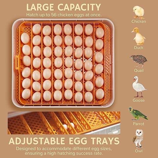 iPettie ProHatch56 Egg Incubator for Hatching Eggs with Automatic Egg Turning & Humidity Temperature Control, 56 Eggs Capacity for Chicken Eggs, Duck Eggs, Quail Eggs, Temperature Alarms