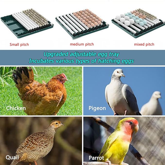 Adjustable Egg Incubators with Automatic Turning and Humidity Control, with Digital Display, for Hatching Eggs Include Chicken Duck Quail