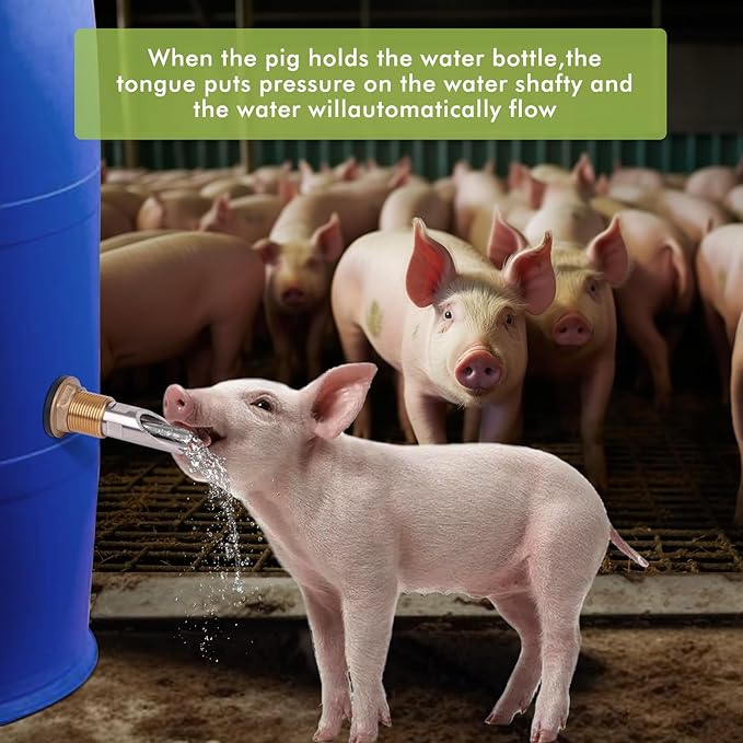 Pig Nipple Waterer for Barrel Kit Stainless Steel Pig Drinker Feeder with Brass Water Tank Connector Kit Automatic Pig Waterer System for Hog Goat Sows Piglets (3 Pig Drinker)