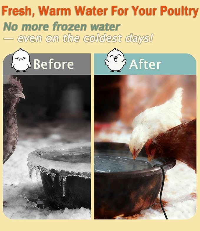 250W Chicken Waterer Heater, Thermostatic Control Chicken Waterer Deicer Ice Melter for Bird Duck Goose