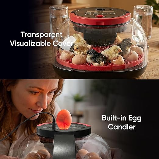 Incubators for Hatching Eggs, 12 Egg Smart Incubator with 1080P Camera & App Control, One-Click Incubation for Chicken Quail Duck, Auto Egg Turner, External Water Refill, Egg Candler