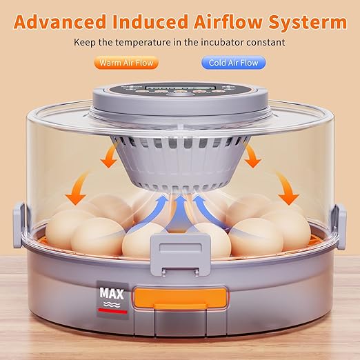 12 Egg Incubators for Hatching Eggs with Automatic Egg Turning & Humidity Control Intelligent Temp Eggs Candler for Chicken Quail Duck etc. Eggs, Suit for Beginner Backyard Hobbyist Students Education