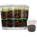 Worm Farm for Kids Shipped with Live Worms - Observation Kit with Ecosystem, Soil Mixing Sand, Magnifying Glass & More from Nature Gift Store