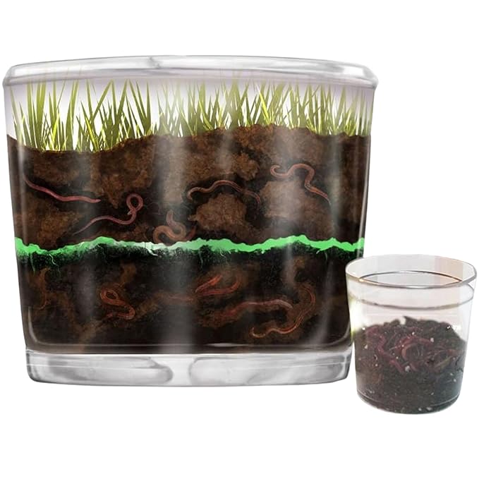 Worm Farm for Kids Shipped with Live Worms - Observation Kit with Ecosystem, Soil Mixing Sand, Magnifying Glass & More from Nature Gift Store