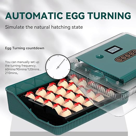 Ovatt 25 Egg Incubator, Automatic Poultry Hatcher with Digital Temperature & Humidity Control, LED Display, Automatic Egg Turner for Chicken, Duck & Goose Eggs, Ideal for Home & Small Farms