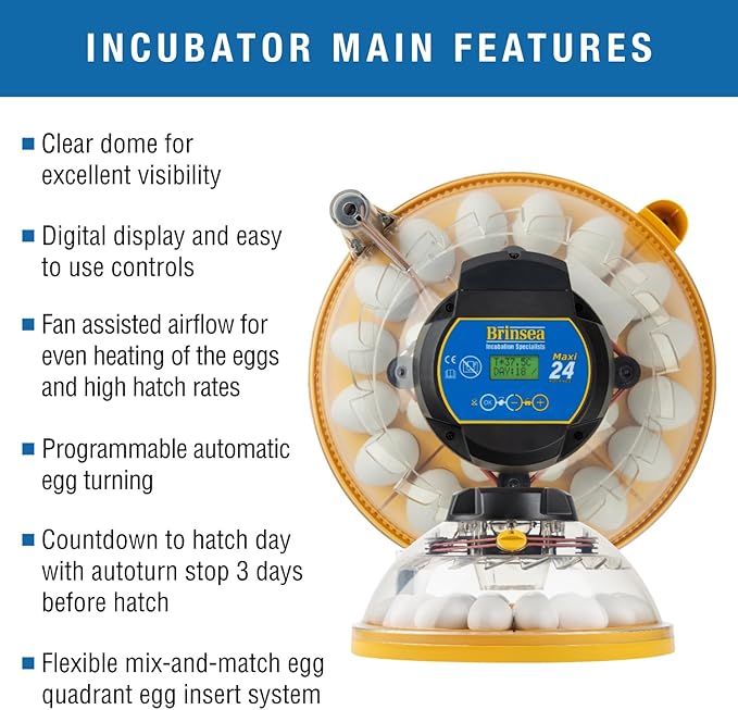 Brinsea Maxi 24 Advance Egg Incubator Classroom Kit Brooder Pack for Students with Lesson Plan, Egg Scope, EcoGlow Brooder, Plastic Chick Enclosure, Feeder and Drinker for Hatching Chicks, Ducklings