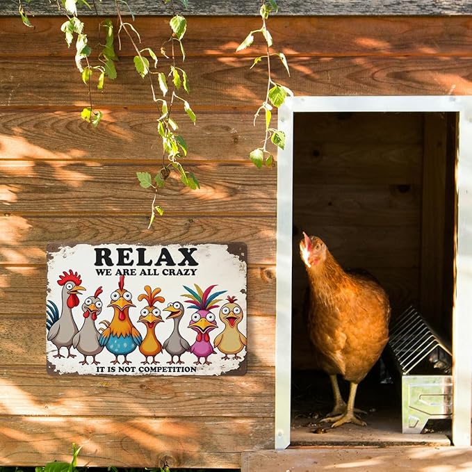Funny Chicken Gifts for Women, Relax We’re All Crazy It’s Not Competition Aluminium Plate Signs, Humorous Chicken Decor for Farmhouse Coop Kitchen, Rustic Wall Art Decorations 8 X 12 Inch Metal Signs
