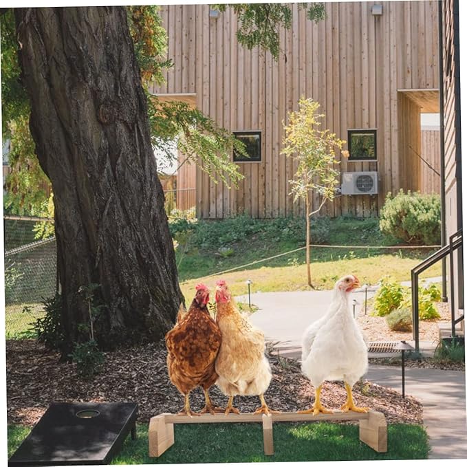 Balacoo Wooden Chicken Perch Roosting Bar Natural Bird Stand for Hens and Medium to Large Birds Safe Parrot Pet Coop Accessory for Secure Off Ground Resting