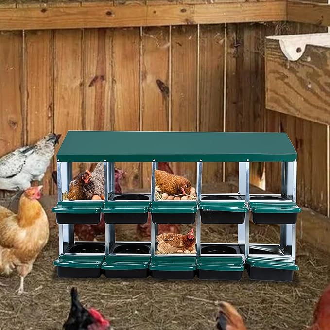 Metal Nesting Box for Chickens (10 Holes) - Heavy Duty Galvanized Steel Hen Laying Box, Outdoor Poultry Nest for Hens, Farm & Ranch Poultry Habitat Supplies