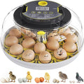 Incubator for Hatching Eggs-18 Egg Capacity, Automatic Egg Turner, Temperature & Humidity Control, 360° Viewing for Chicken, Duck and Quail Eggs