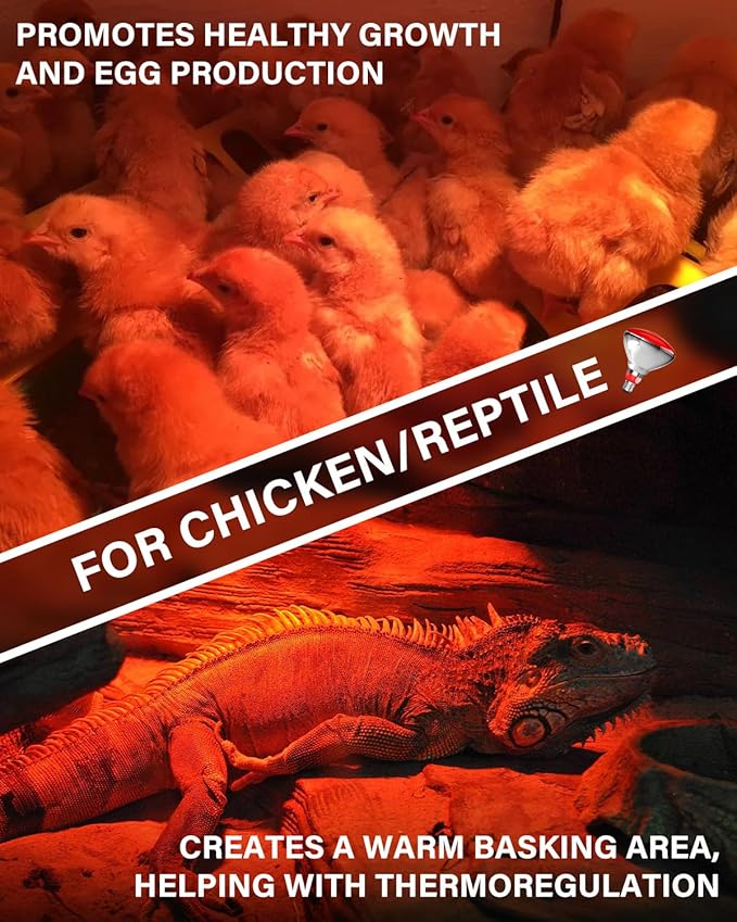 Heat Lamp Bulbs for Chickens Coop Brooder,250 Watt Reptile Heat Lamp Bulb Infrared Red Light for Chicks,Birds,Ducks,Dogs,Cats (Heating Lamp Not Included)