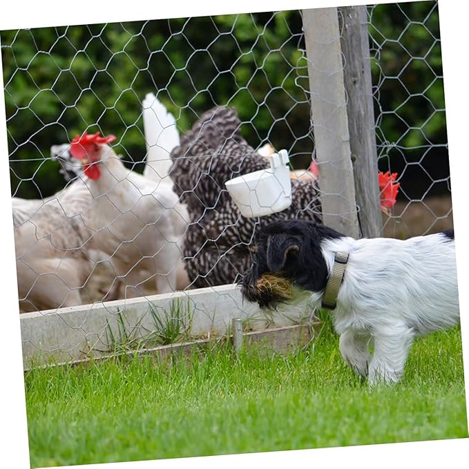 POPETPOP 1Roll Galvanized Chicken Coop Wire Fence X Heavy Duty Poultry Netting for Garden Protection Weatherproof Mesh for Animal Enclosures Easy to Install
