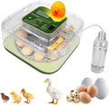 Series IV - 12 Egg Fully Automatic Incubator, Low Maintenance, Intelligent Sensor-Based Precise Humidity & Temp Control, Custom-Interval Auto Turn & Auto Stop, Preset Incubation Days, Candler, Alarms
