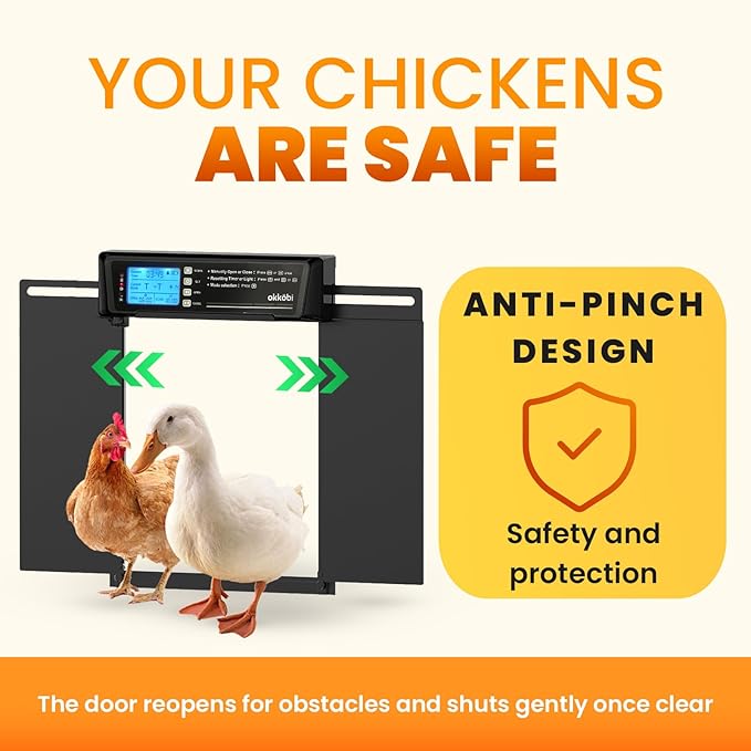 Extra Large Automatic Chicken Coop Door Solar Powered with Remote - LCD Display, Light Sensor, Timer & Anti-Pinch Function – 11.3" x 8.7" Door Opening – 5-Year Protection – Black – by Okköbi
