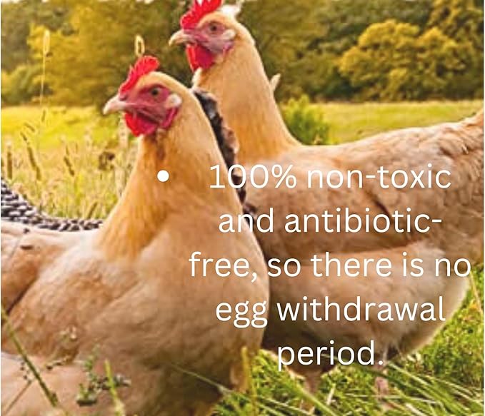 SSF Organics Happy Hens- All Purpose First Aid Poultry Balm. Organic Healing Ointment for Pecking Wounds/Sores, Frostbite, Mites, and Molting. Concentrated Hen Healer Ointment. Made in The U.S.A.