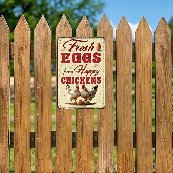 Funny Chicken Signs Farmhouse Chicken Coop Fresh Eggs Aluminium Sign Metal Chicken Signs Decor Home Ktichen Farm Are Wall 12x8 Inch Vintage Chicken Signs For Coop Metal Tin Signs Poster
