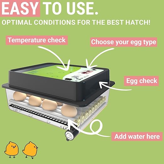 OBI-36 Incubator for Hatching Eggs – 36 Eggs, Easy to Use, Stable Temperature & Humidity Control with Eggloo Insulation - Green