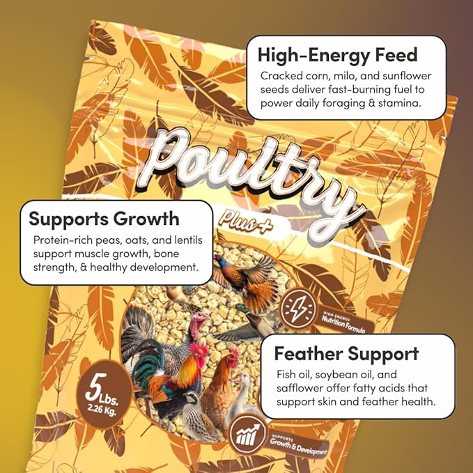 Mycelium Poultry Plus Feed (5 LB Bag) | Organic Poultry Food for Chickens, Ducks & Game Birds | Supports Growth, Feather Health & Energy | High-Protein, Omega-Rich Scratch Mix | USA Made, Non-GMO