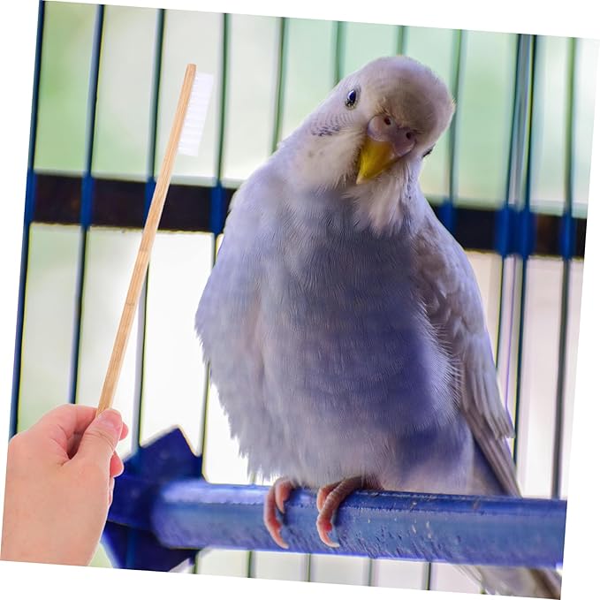 POPETPOP 2Pcs Bird Cage Cleaning Brush Set Versatile Tools with Droppings Scoop for Easy Maintenance of Bird and Small Animal Cages Durable User Friendly Bird Cage Cleaner Supplies