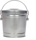 6 Gallon Galvanized Steel Storage Can with Locking Lid Weather Resistant Metal Container for Pet Food Bird Seed Charcoal