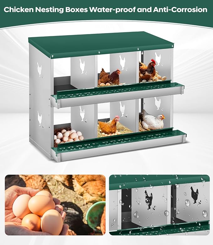 Chicken Nesting Box for Laying Eggs, 6 Compartment Metal Nesting Box,Wall Mount Chicken Nesting Boxes,Easy Egg Collection,Laying Boxes for Chickens Coop to Protect Eggs (Green, 6 Compartment)