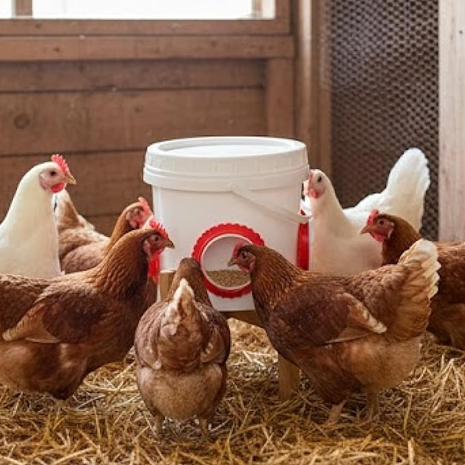 Chicken Feeder Bucket with Stand, No Waste Poultry Feeder with 3 Covered Ports, Hanging Chicken Feeder & Duck Feeder for Outside, Automatic Chicken Feeder, Poultry Feeding Equipment.