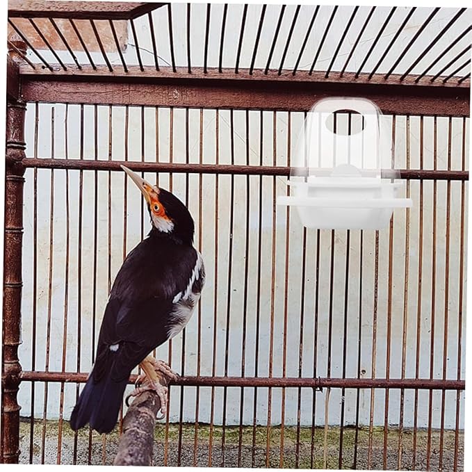 BESTonZON 2pcs Outdoor Parrot Food Container Bird Feeder Hanging No-Spill Bird Food Box for Cage and Wild