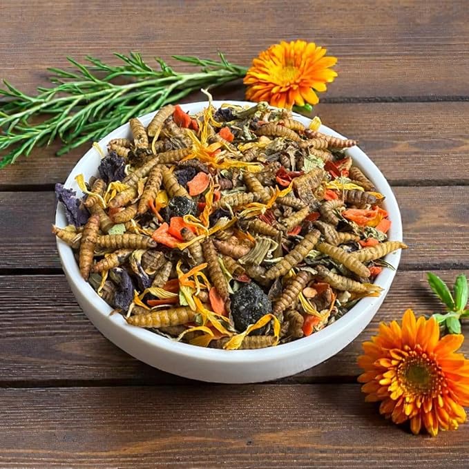 Flock & Feather Healthy Hen Blend Chicken Treats with Black Soldier Fly Larvae for Chickens, Natural Poultry Feed Topper with Sunflower Seeds, Flaxseed & Herbs for Backyard Chickens & Laying Hens,1 lb